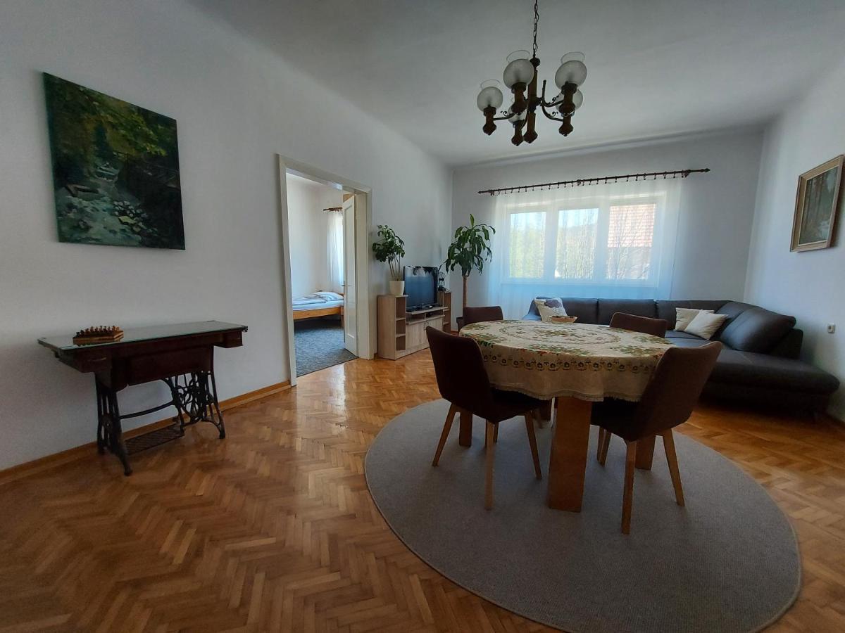 Apartman Tince Delnice Exterior foto