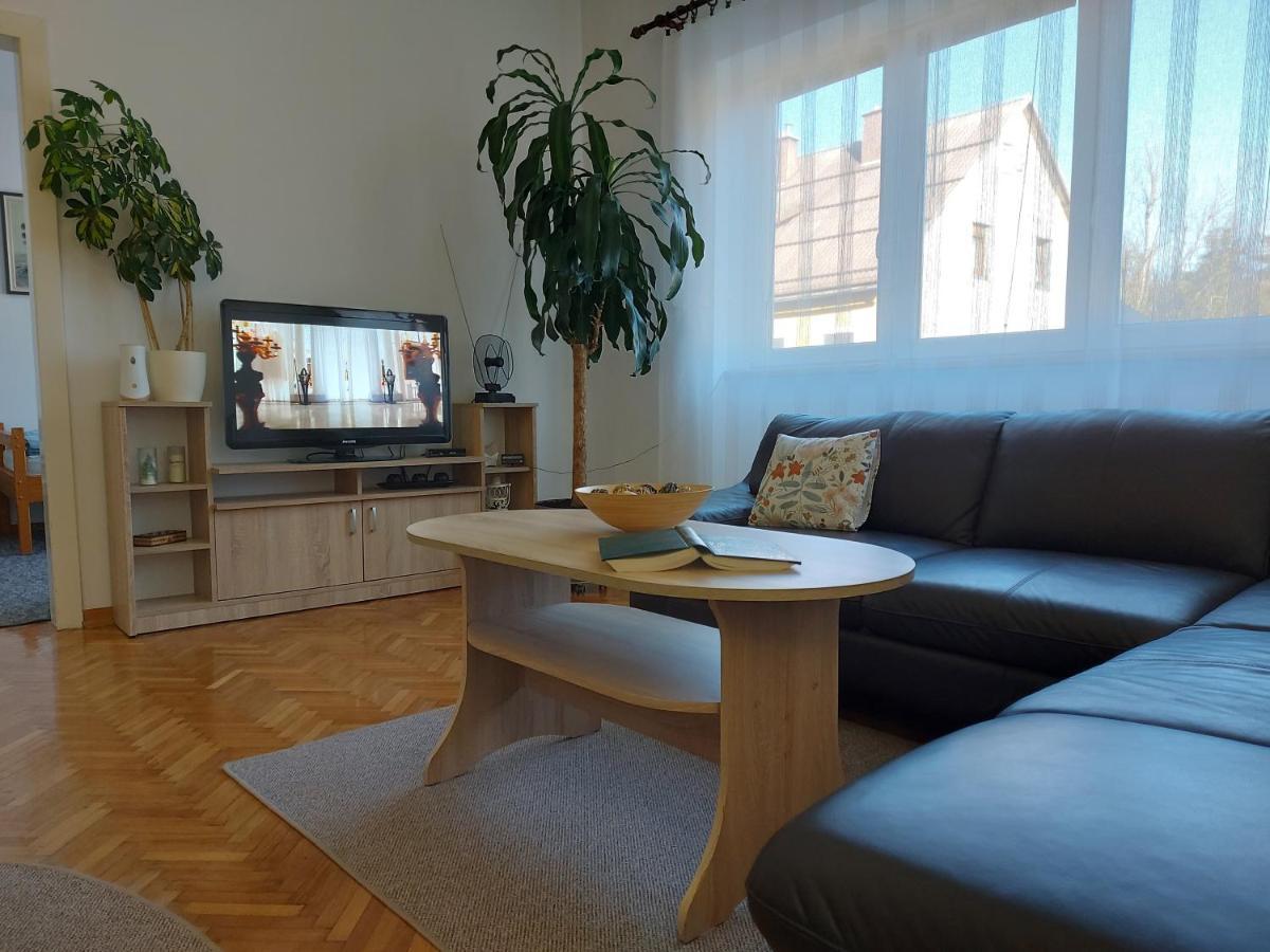 Apartman Tince Delnice Exterior foto